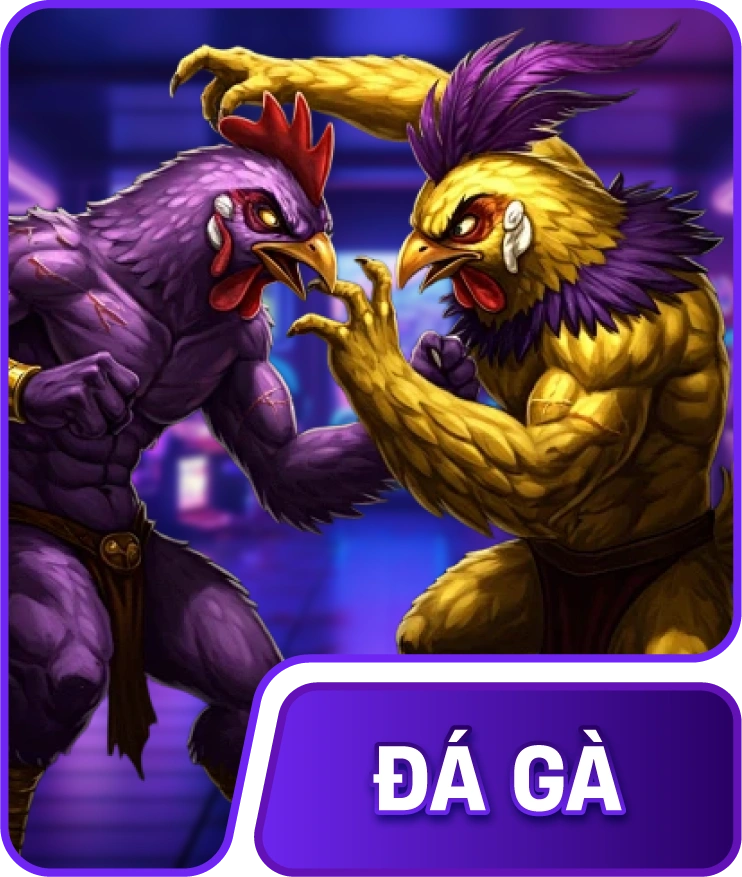 Đá gà
